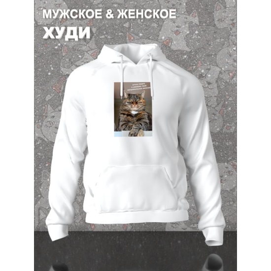 Худи с принтом Кот оверсайз белое. Худи унисекс с мемной надписью "Штош, ладно, я уважаю твоё неправильное мнение" в стиле кэжуал для молодежи.