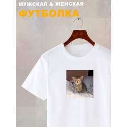 Футболка с принтом Котенок оверсайз белая. Футболка унисекс с прикольным рисунком Сонный кот в стиле кэжуал.