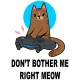 Футболка с котом геймером и надписью meow детская