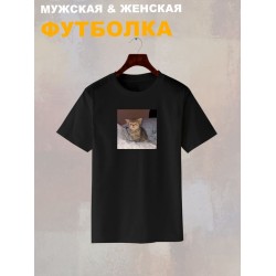 Футболка с принтом Котенок оверсайз черная. Футболка унисекс с прикольным рисунком Сонный кот в стиле кэжуал.