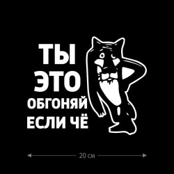Наклейка интерьерная на стену и авто, надписи на автомобиль на дверь на стекло на ноутбук на холодильник на унитаз на зеркало на дневник. Прикольные наклейки с приколами, смешные.
