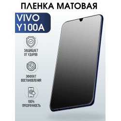 Защитная гидрогелевая пленка для смартфона Vivo Y100a. Матовая полиуретановая плёнка на мобильный телефон Виво У100а, для защиты экрана.