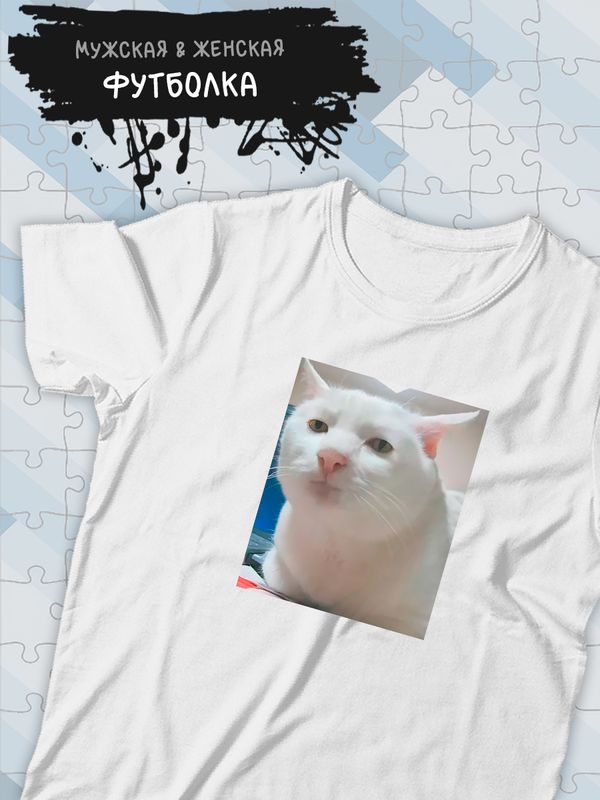 Футболка серьезный кот мем и прикол с принтом
