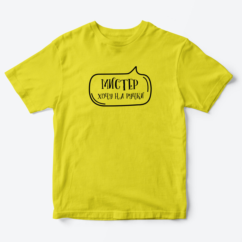 Футболка для детей с надписью Мистер хочу на ручки