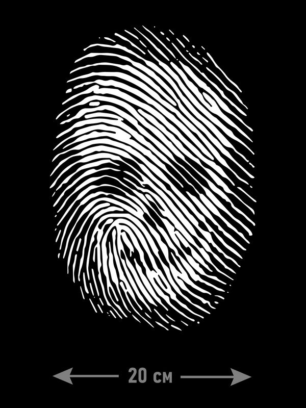 Наклейки на автомобиль, прикольные наклейки с аниме