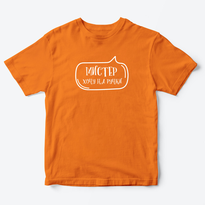 Футболка для детей с надписью Мистер хочу на ручки