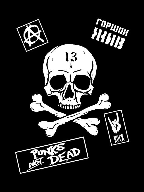 Свитшот черный Король и Шут панк рок с черепом киш rock оверсайз punks not dead с принтом надписью анархия горшок. Одежда унисекс женская, детская хлопковая. Трикотажная кофта для молодежи и подростка.