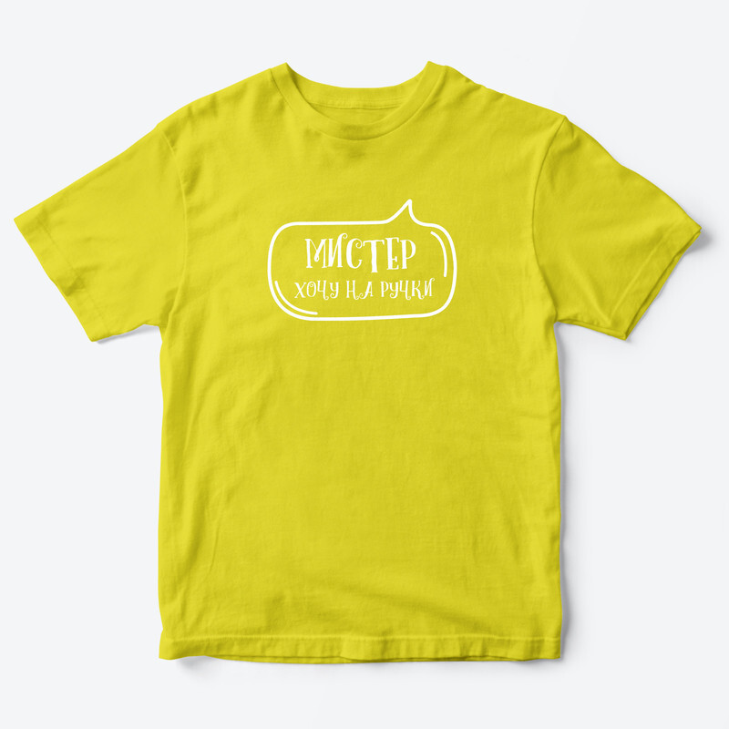 Футболка для детей с надписью Мистер хочу на ручки