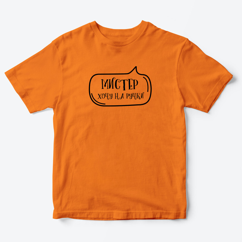 Футболка для детей с надписью Мистер хочу на ручки