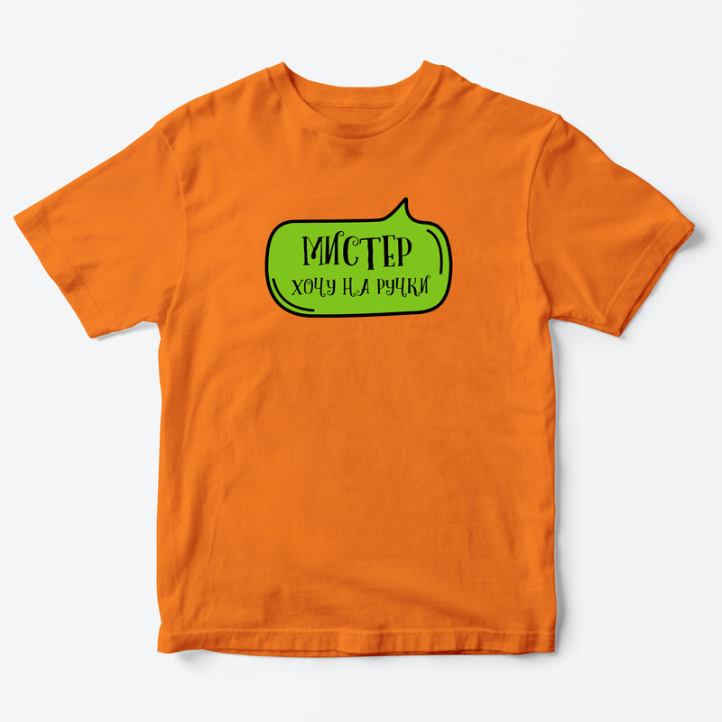 Футболка для детей с надписью Мистер хочу на ручки