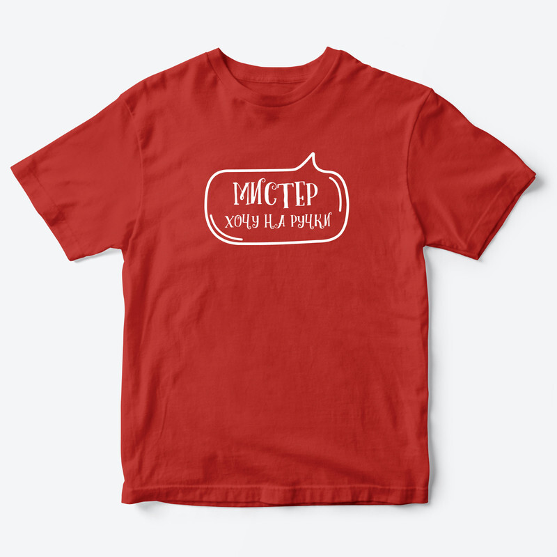 Футболка для детей с надписью Мистер хочу на ручки