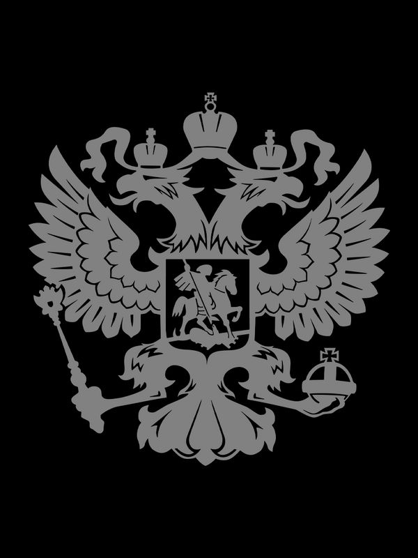 Футболка с принтом National Team Russia