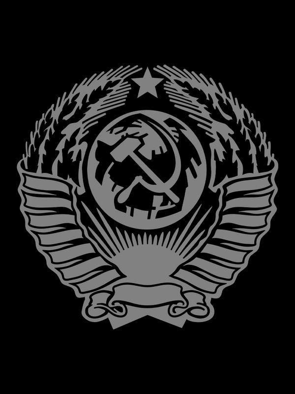 Футболка с надписью герб СССР, серп и молот. Свитер с принтом USSR