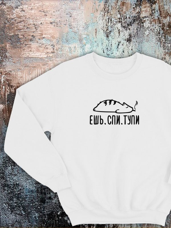 Свитшот с принтом надписями мемом котом парные толстовки для влюбленных оверсайз Свитшот с принтом надписями мемом котом парные толстовки для влюбленных оверсайз