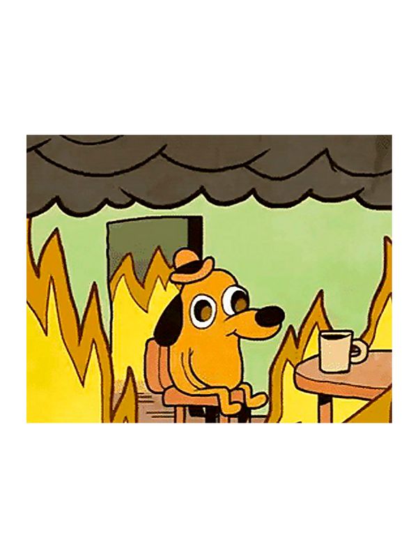 Свитшот Собака в огне мем This is fine белая с принтом