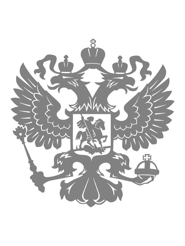 Футболка с принтом National Team Russia