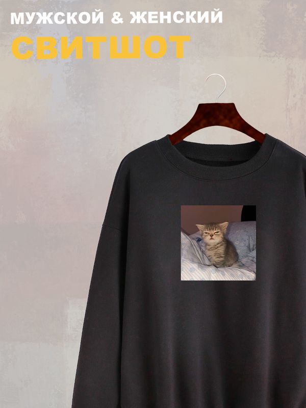 Свитшот с принтом Котенок оверсайз черный. Свитшот унисекс с прикольным рисунком Сонный кот в стиле кэжуал. Свитшот с принтом Котенок оверсайз черный. Свитшот унисекс с прикольным рисунком Сонный кот в стиле кэжуал.